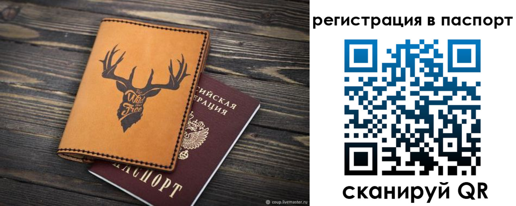 прописка паспорт в Ивантеевке